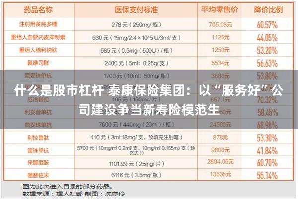 什么是股市杠杆 泰康保险集团：以“服务好”公司建设争当新寿险模范生