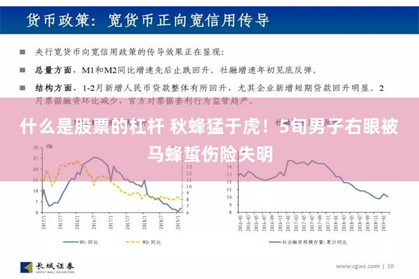 什么是股票的杠杆 秋蜂猛于虎！5旬男子右眼被马蜂蜇伤险失明