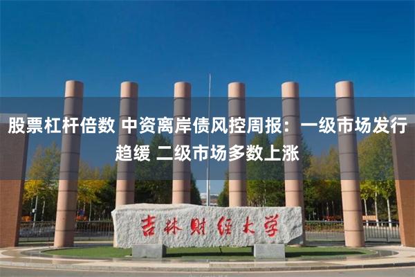 股票杠杆倍数 中资离岸债风控周报：一级市场发行趋缓 二级市场多数上涨