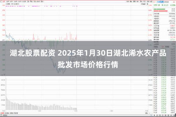 湖北股票配资 2025年1月30日湖北浠水农产品批发市场价格行情